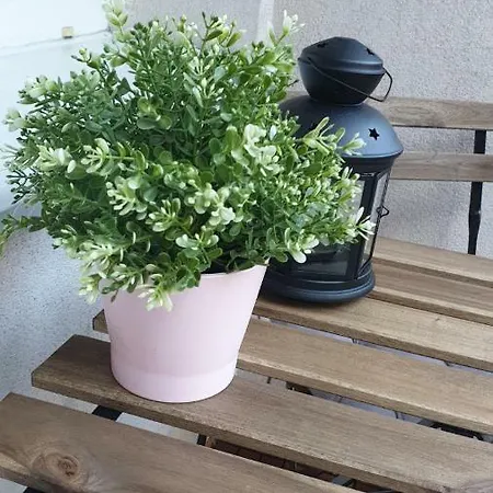 Przyjazne Mieszkanie W Sopocie *